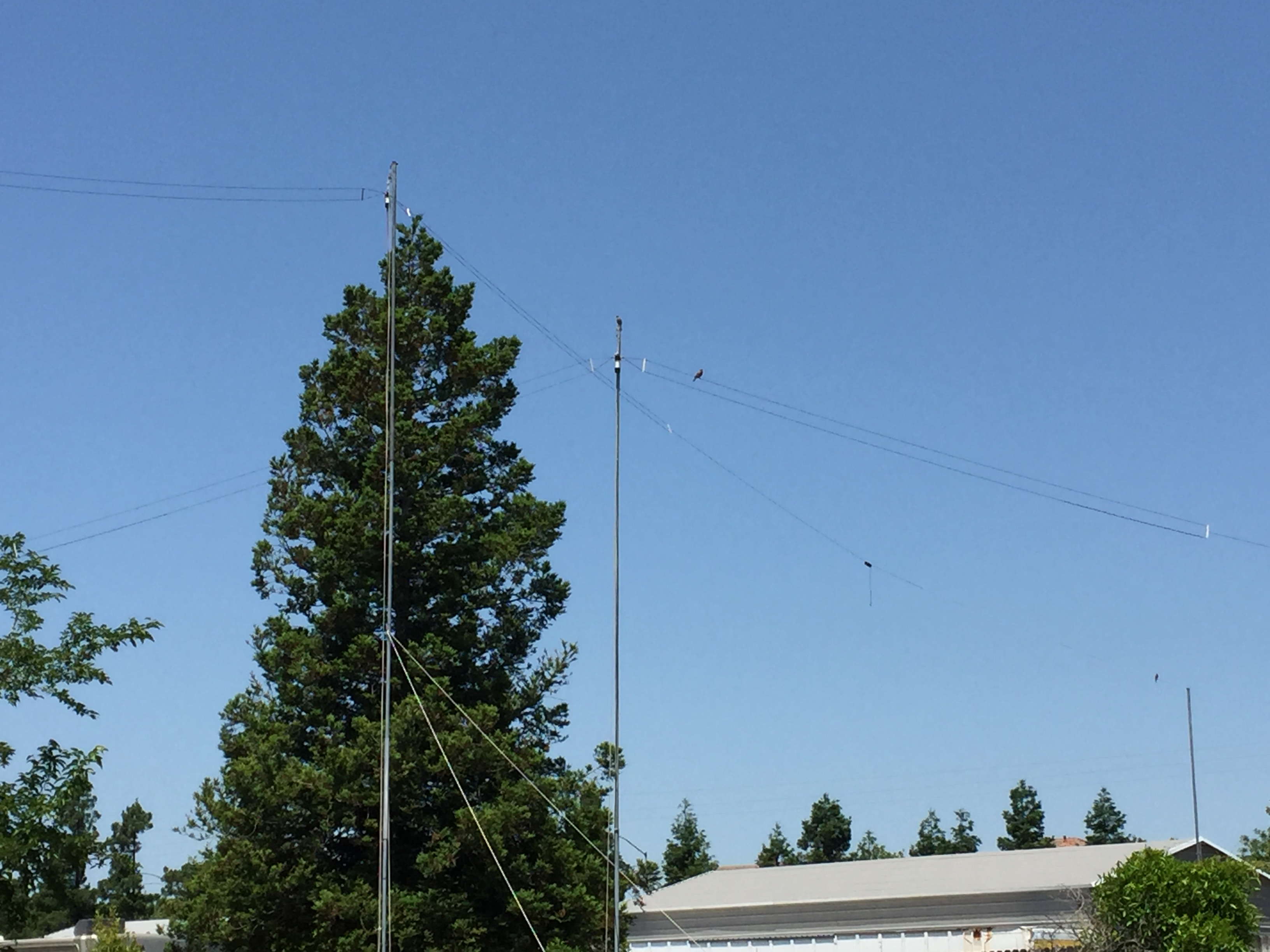 ham-radio-80-40-20-15-meter-half-wave-fan-dipole-antenna